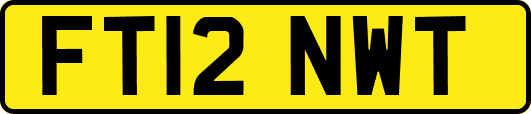 FT12NWT