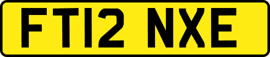 FT12NXE