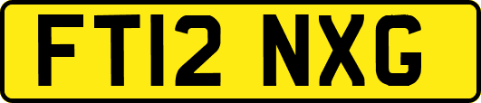 FT12NXG