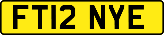 FT12NYE