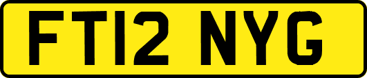 FT12NYG