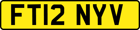 FT12NYV