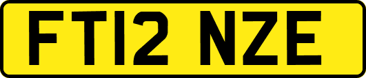 FT12NZE