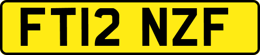 FT12NZF
