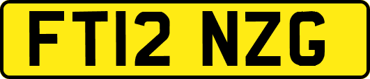 FT12NZG