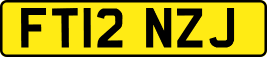 FT12NZJ