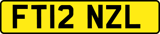 FT12NZL