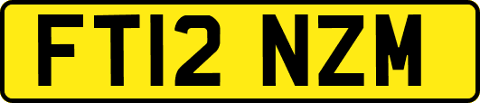 FT12NZM