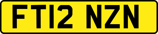 FT12NZN