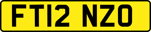 FT12NZO