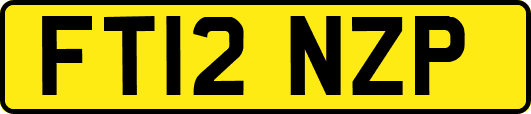 FT12NZP