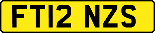 FT12NZS