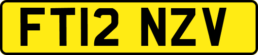 FT12NZV