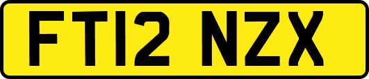 FT12NZX