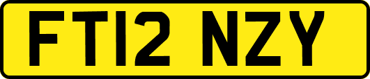 FT12NZY