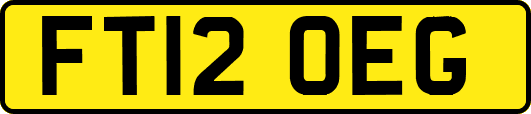 FT12OEG