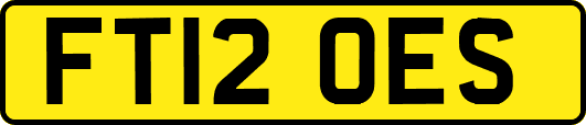 FT12OES