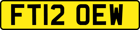 FT12OEW