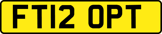 FT12OPT