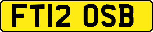 FT12OSB