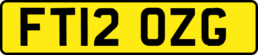 FT12OZG