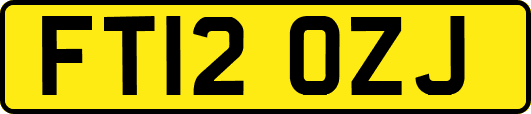 FT12OZJ
