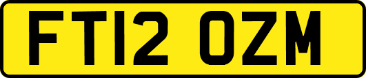 FT12OZM