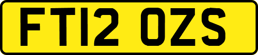 FT12OZS