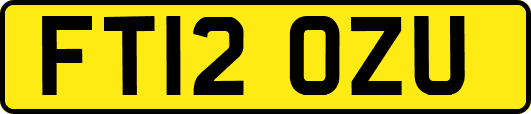 FT12OZU