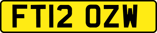 FT12OZW