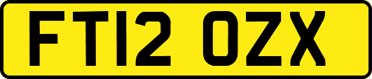 FT12OZX