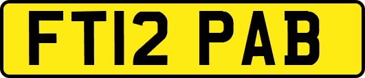 FT12PAB