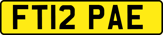 FT12PAE