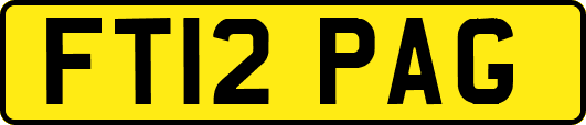 FT12PAG