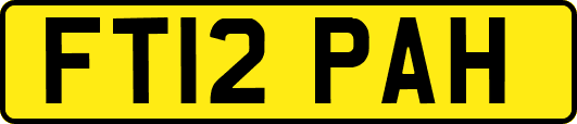 FT12PAH