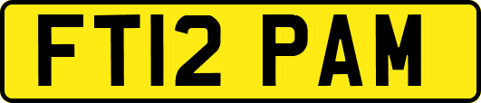 FT12PAM