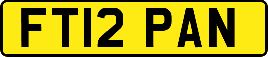 FT12PAN