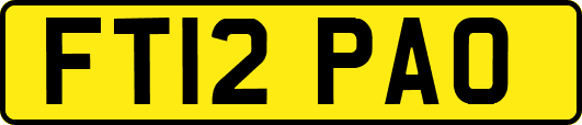 FT12PAO