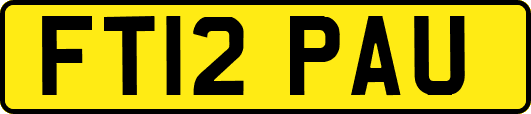 FT12PAU
