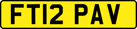 FT12PAV