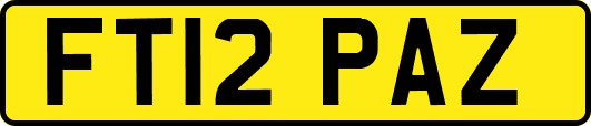 FT12PAZ