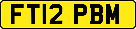 FT12PBM