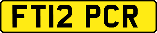 FT12PCR