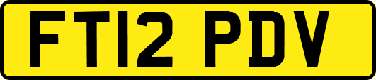FT12PDV