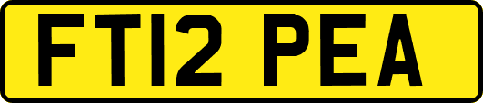FT12PEA