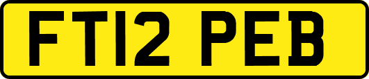 FT12PEB