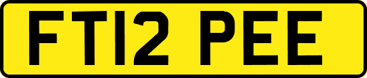 FT12PEE