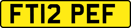 FT12PEF