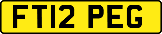 FT12PEG