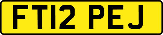 FT12PEJ